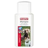 BEAPHAR - Anti-Allergie Shampoo Für Hunde Und Katzen - Hautfreundlich - Mit Methyl Sulfonyl Methan (MSM) - Beruhigt Empfindliche...