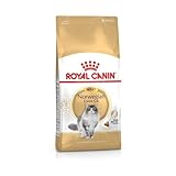 Royal Canin Norwegian Forest Cat Adult | 400 g | Allfeinfuttermittel für ausgewachsene Norwegische Waldkatzen | Ab dem 12. Monat...