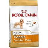 Royal Canin 35136 Breed Pudel 1,5 kg - Hundefutter