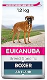 Eukanuba Breed Specific Boxer Trockenfutter - optimal auf die Rasse abgestimmtes Premium Hundefutter mit Huhn, 12 kg