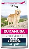 Eukanuba Breed Specific Golden Retriever Trockenfutter - optimal auf die Rasse abgestimmtes Premium Hundefutter mit Huhn, 12 kg