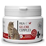 ReaVET Gelenk Complex Katze, für 3 Monate, Alternative zu Gelenktabletten – sehr hohe Akzeptanz- Spezial Gelenkmittel für...
