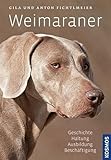 Weimaraner: Geschichte, Haltung, Ausbildung, Beschäftigung