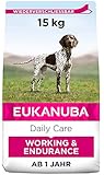 Eukanuba Daily Care Working & Endurance Trockenfutter für Hunde mit hohem Energiebedarf (Arbeitshunde, trächtige & säugende...