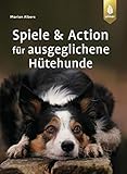 Spiele und Action für ausgeglichene Hütehunde: Border Collie, Australian Shepherd und Co. rassegerecht auslasten