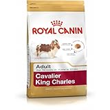 Royal Canin Cavalier King Charles Adult 1,5 kg, 1er Pack (1 x 1.5 kg)