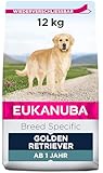 Eukanuba Breed Specific Golden Retriever Trockenfutter - optimal auf die Rasse abgestimmtes Premium Hundefutter mit Huhn, 12 kg