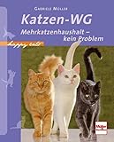 Katzen-WG: Mehrkatzenhaushalt - kein Problem (Happy Cats)