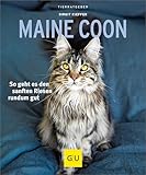 Maine Coon: So geht es den sanften Riesen rundum gut (GU Katzen)