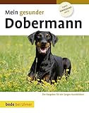 Mein gesunder Dobermann: Der Ratgeber für ein langes Hundeleben. Topfit, kerngesund, aktiv