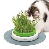 Catit Grass Planter, Katzengras, Katzengrastopf mit Abdeckgitter, 1 Stück (1er Pack)