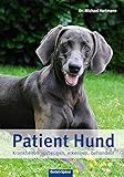 Patient Hund: Krankheiten vorbeugen, erkennen, behandeln