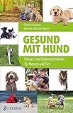 Gesund mit Hund: Fitness- und Seelenschmeichler für Mensch und Tier (Goldegg Leben und Gesundheit)